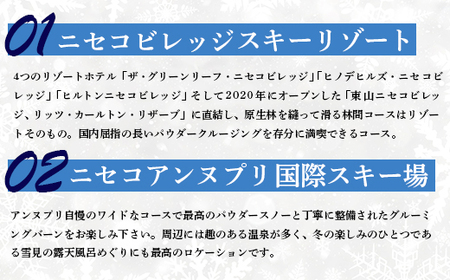 ニセコ全山共通リフト券（All Mt.Pass）1日券（5枚）ニセコアンヌプリ