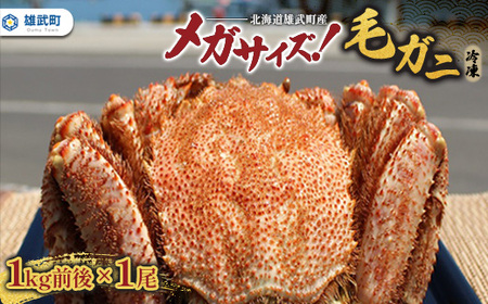 北海道雄武町産メガサイズ！毛ガニ(冷凍)1kg前後×1尾【1237801