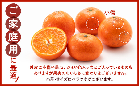 AA088.【希少品種】みはやみかん／約2.5キロ(2026年12月上旬～2027年1