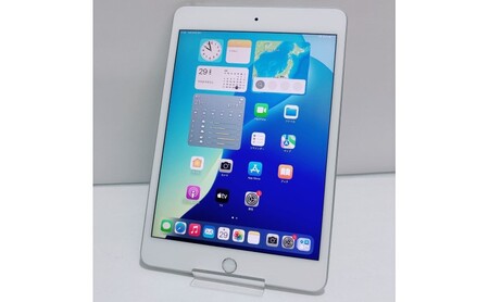 iPad mini 第5世代 64GB Cellular + Wi-Fiモデル シルバー 中古 アイ