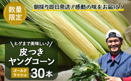 数量限定 ヒゲまで美味しい 皮つき ヤングコーン 30本 ☆2026年4月下旬
