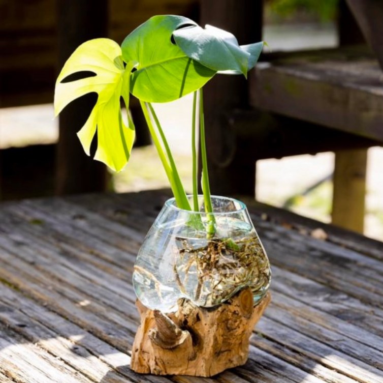 流木ガラス - インテリアショップ COCO SPACE(ココスペース 香川県高松