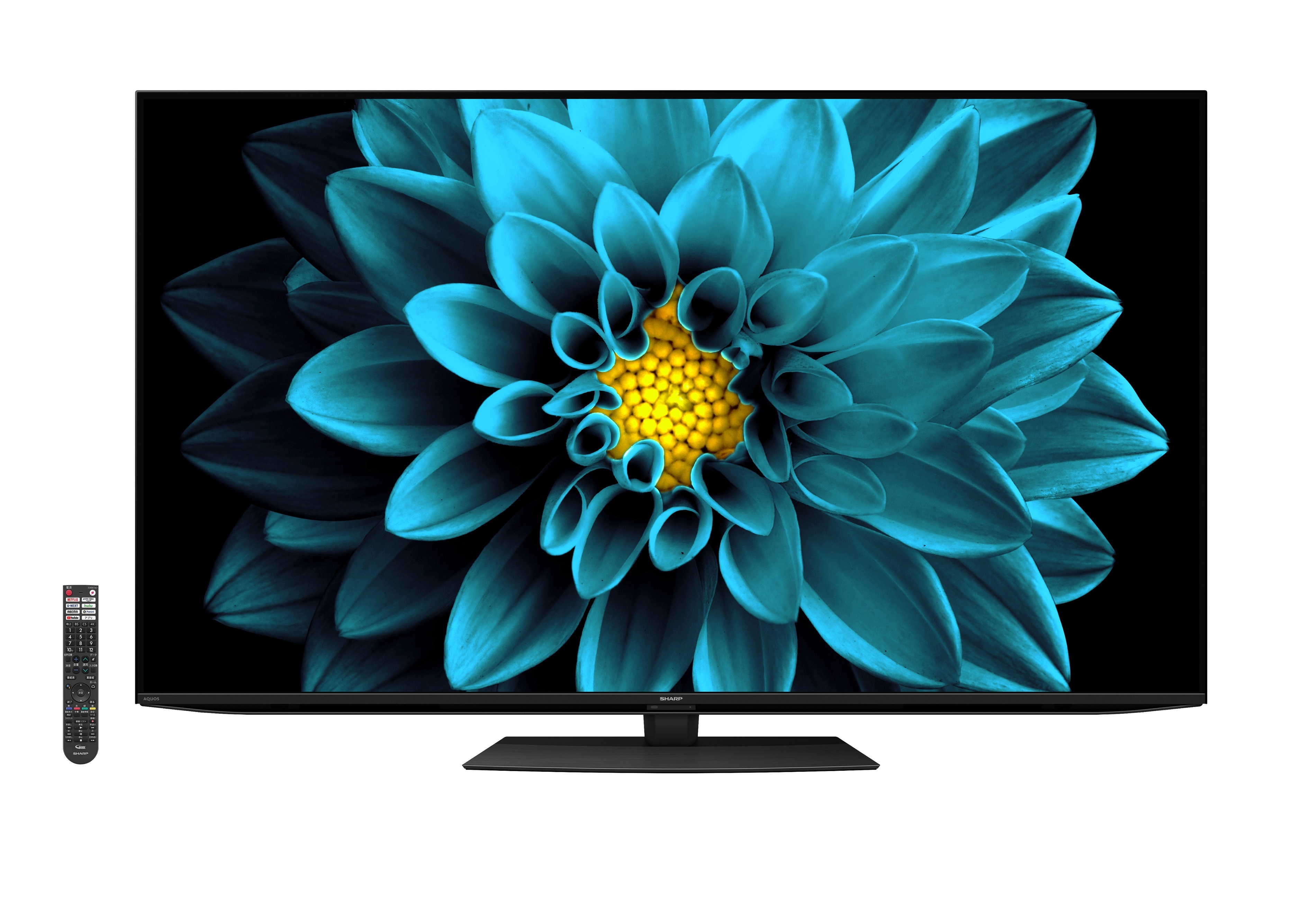 51259 SHARP 4T-C45BL1　アンドロイドテレビ Amazon.co.jp: シャープ 4K チューナー内蔵 液晶 テレビ Android TV