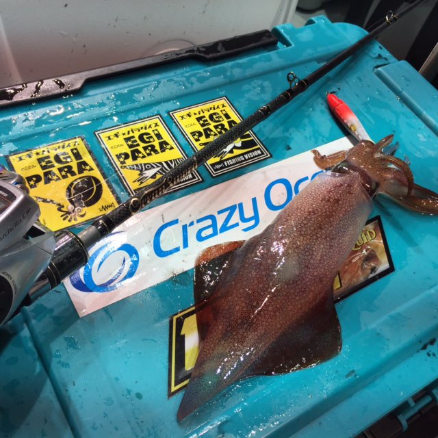 脅威の超スーパー高感度！メタルゲームTZ | クレイジーオーシャン