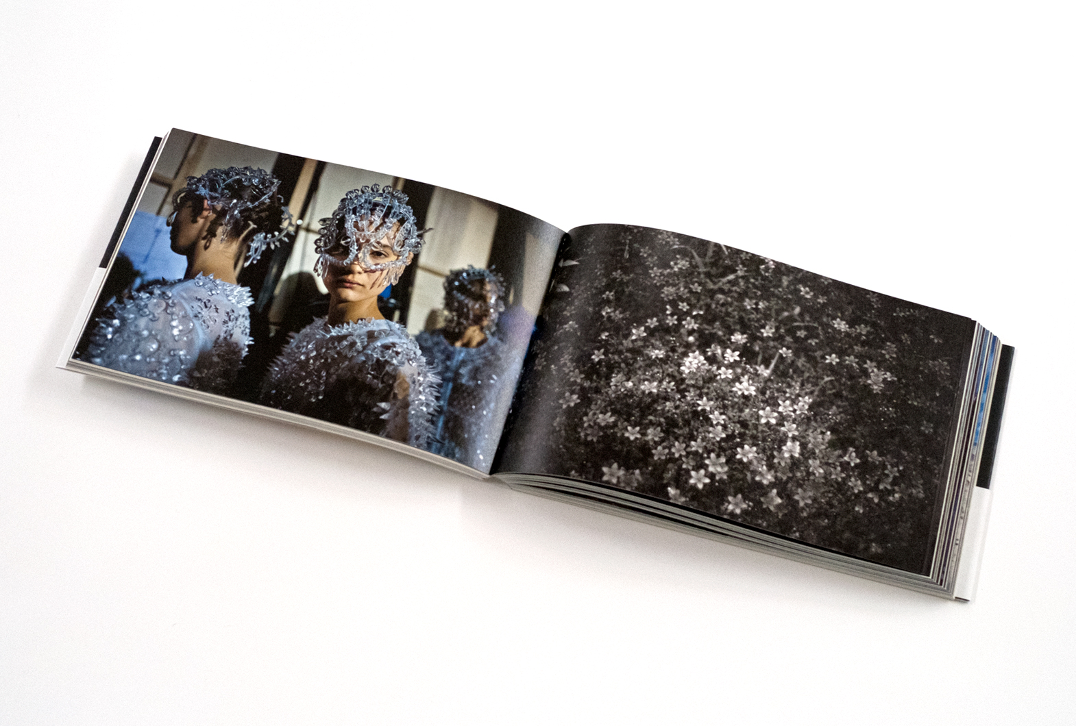 藤原新也写真集『祈り』 | 株式会社クレヴィス