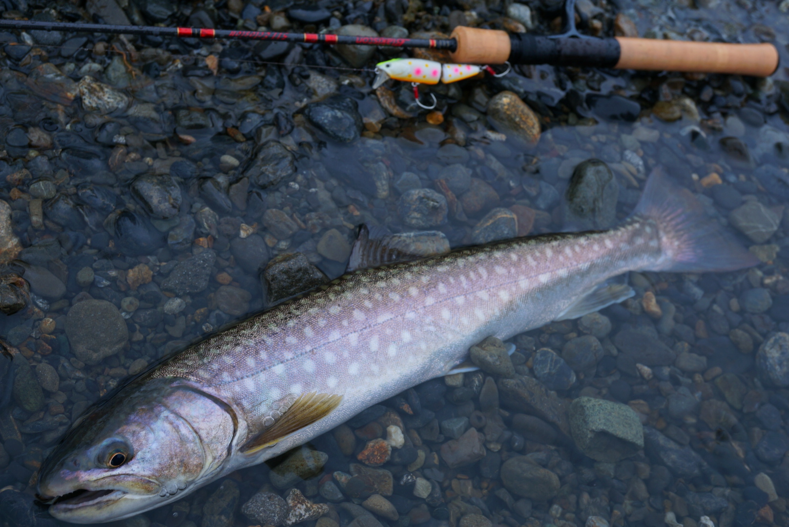 エクルージョン511」 D3 仙北谷祐輔 – D3カスタムルアーズ