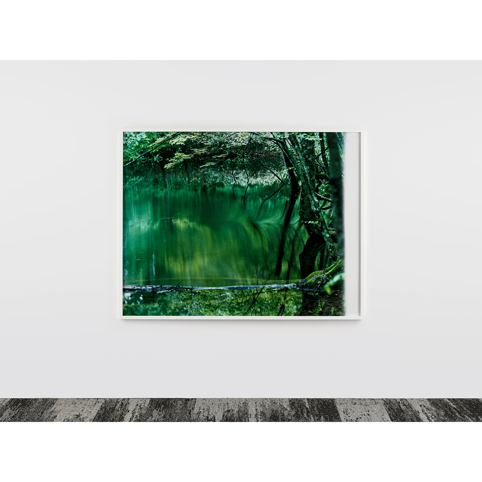 UESHIMA MUSEUM COLLECTION