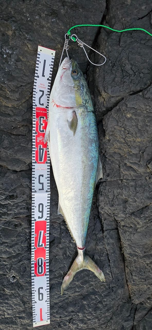 SHIMANO 20コルトスナイパー XR S106H/PSの最安値・インプレ・釣果