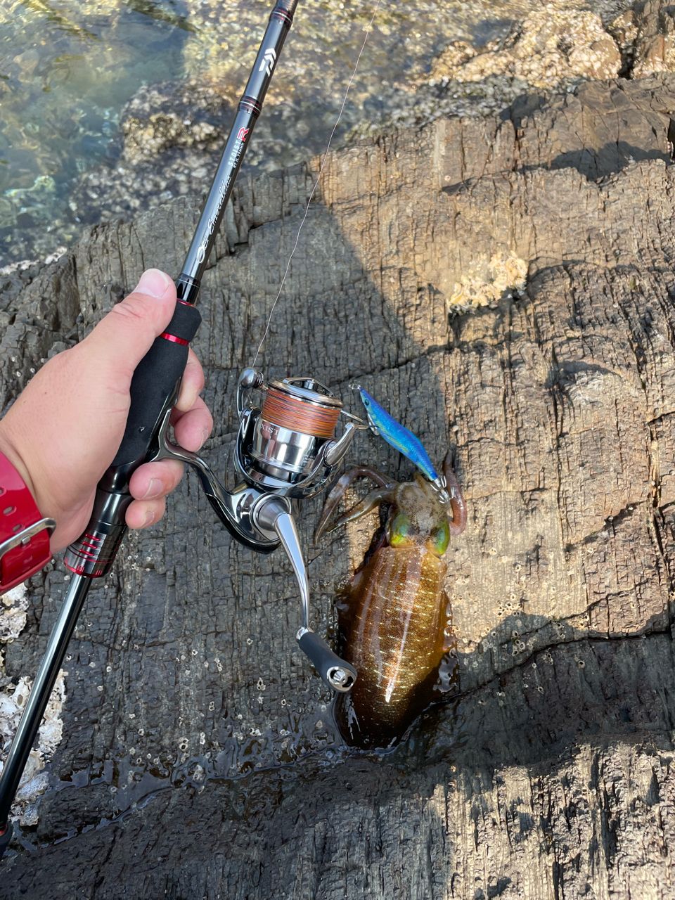 DAIWA 22エメラルダス ストイスト RT IL 79MMHの最安値・インプレ