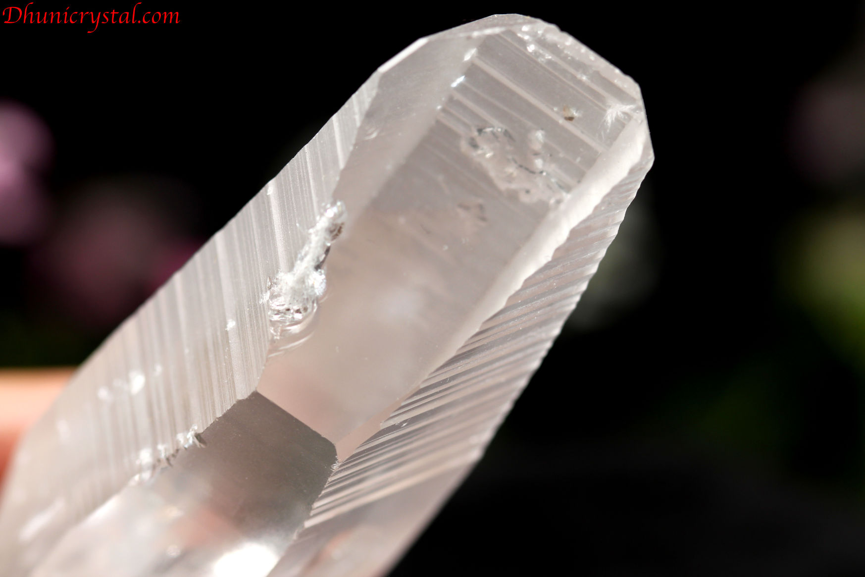 レムリアンシードクリスタル/ポイント(D557)