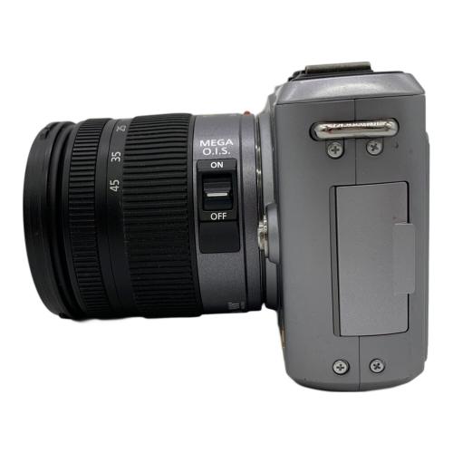 Panasonic (パナソニック) LUMIX GF1 LUMIX G LENS KIT DMC-GF1