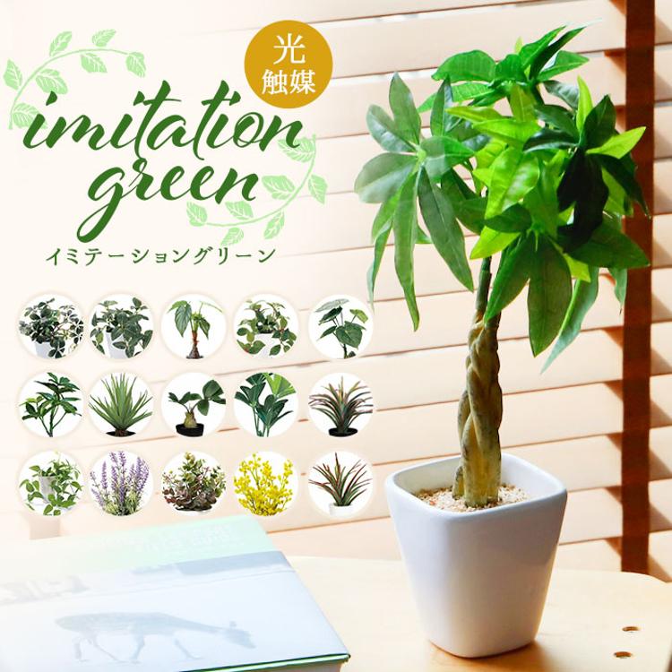光触媒 フェイクグリーン 通販 壁掛け イミテーショングリーン