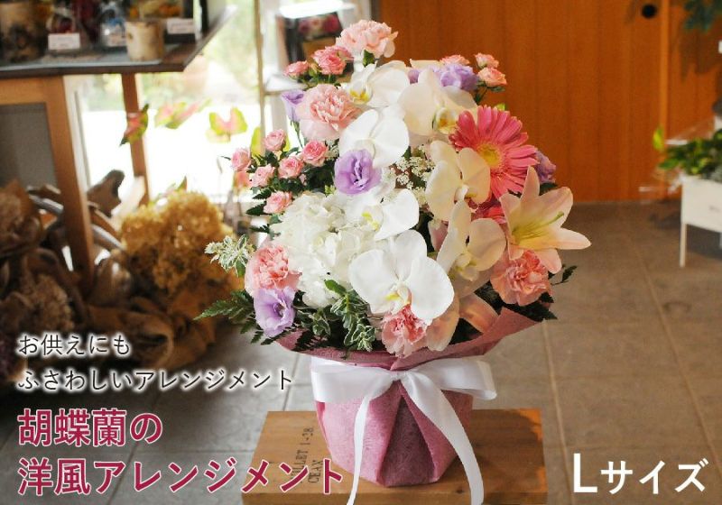 お供え用 胡蝶蘭の洋風アレンジメント Lサイズ フラワーアレンジメント