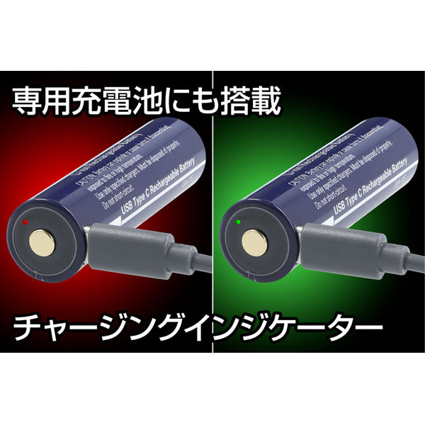 ジェントス LEDハンディライト Gシリーズ GF-214RG 1100ルーメン USB