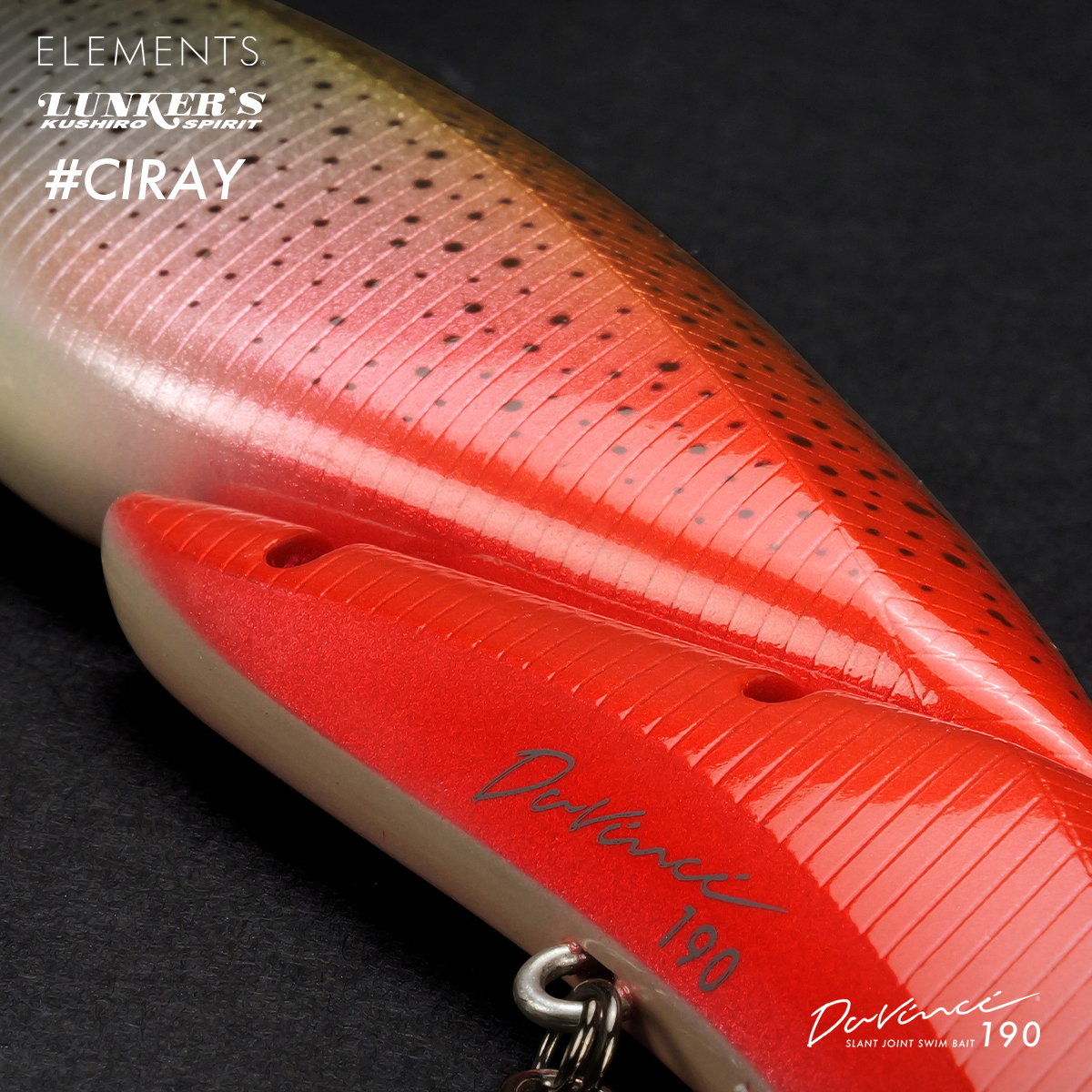 ダヴィンチ190 #CIRAY 受注生産モデルのご案内 – ELEMENTS®