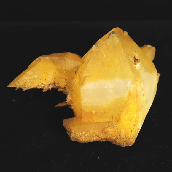 ゴールデンヒーラー | 榎本通商