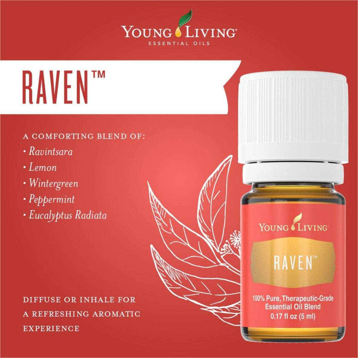 Young Living Raven Essential Oil Blend - 15ml – Essential Oil Life
