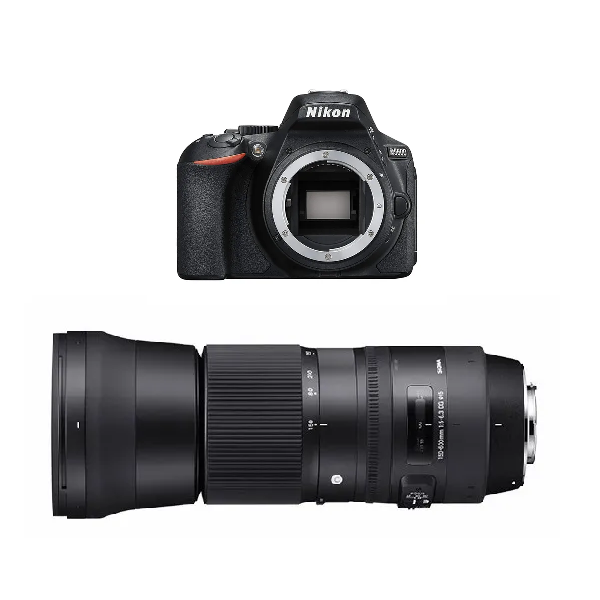 レンタル] ニコン D5600 ボディ 一眼レフ と シグマ 150-600mm F5-6.3