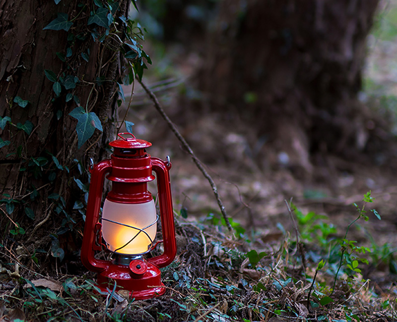 FIELDOOR（フィールドア） | 新製品情報 | LEDアンティークランタン