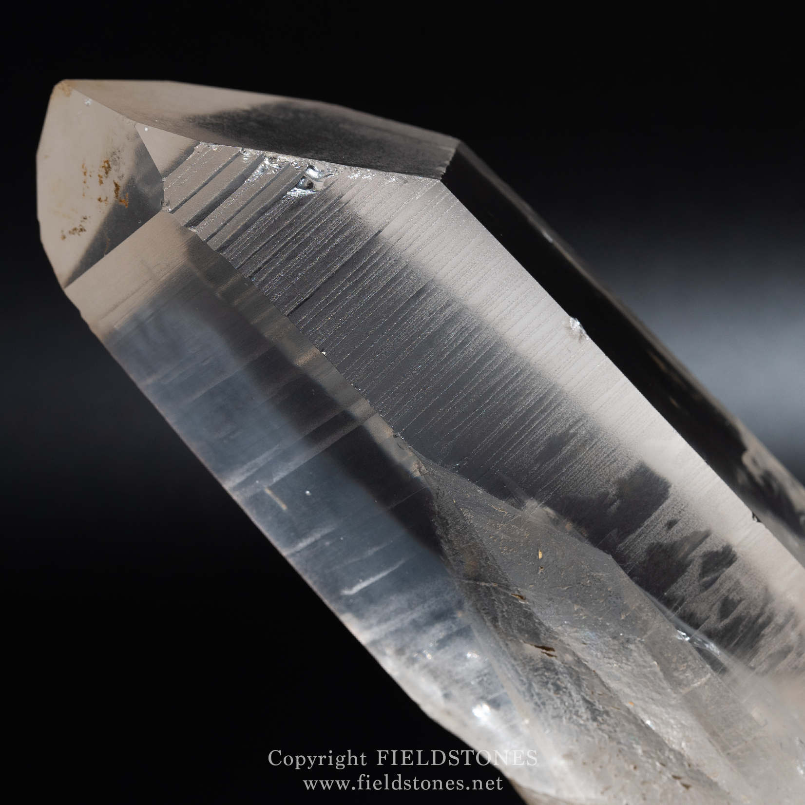 レムリアンシードクリスタルを選ぶ - FieldStones