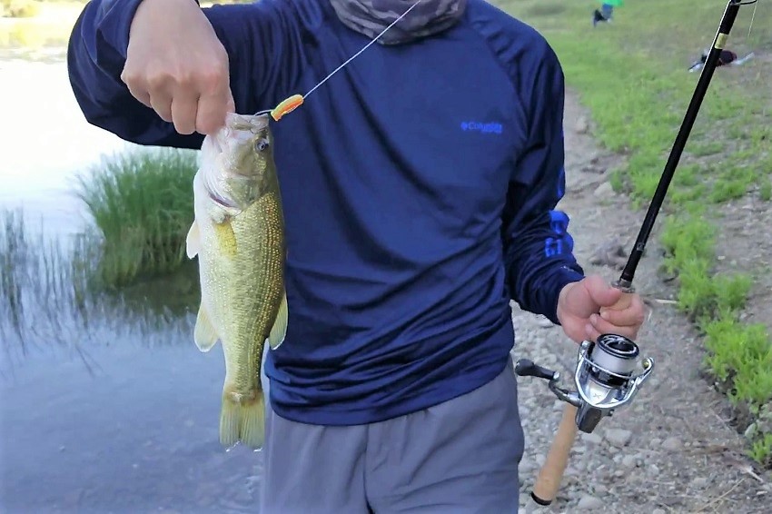 ダイワ トリプルビー (B.B.B)のフィールドテスト！デカバス狙うよ in