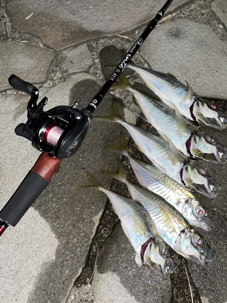 再考】ベイトフィネスで1g以下のジグヘッドをキャストするセッティング