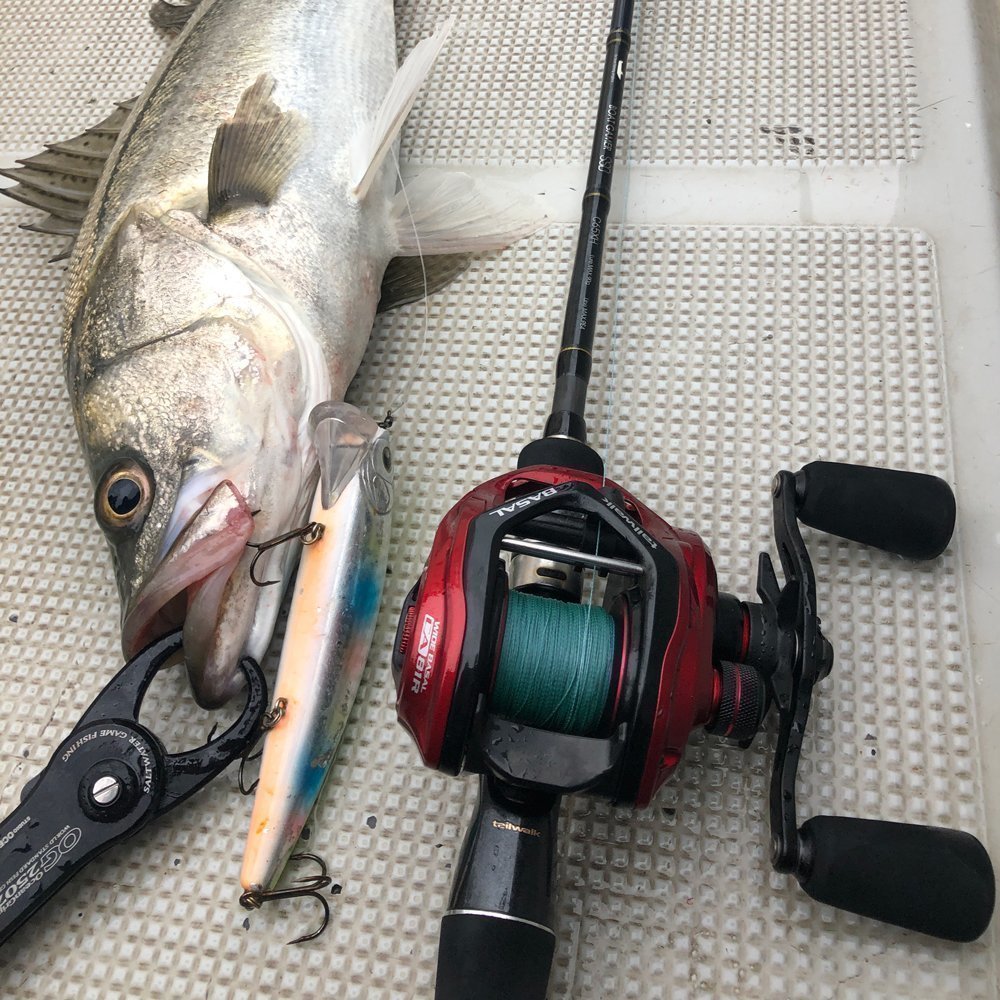 シーバスのプロが完全監修！テイルウォークのシーバスロッドが超有能