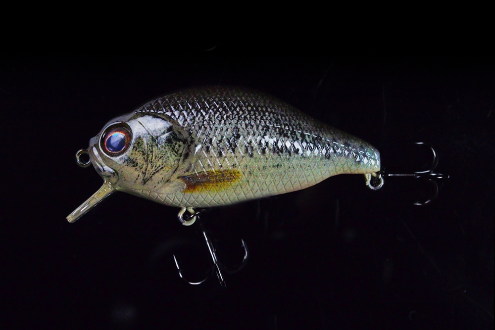 GAN CRAFT | 2025 z-bite-bass