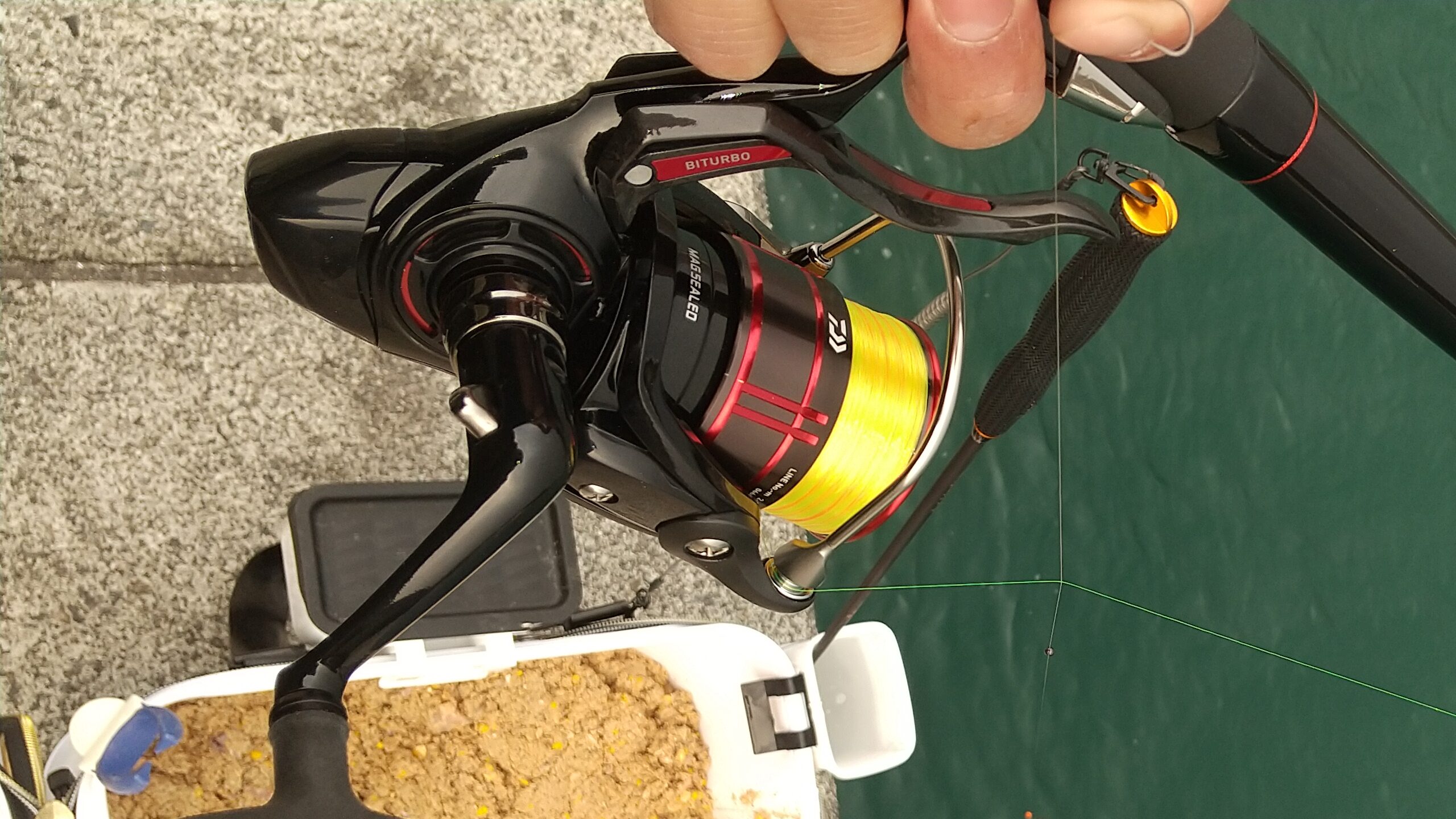 フカセ釣り】ダイワ 19シグナスのインプレ｜19CYGNUS 2500H-LBD｜23年