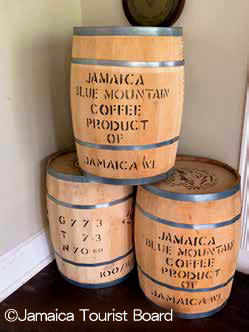 ブルーマウンテン・コーヒー | イイね！ジャマイカ