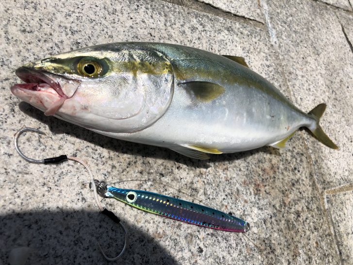 青物に最強！撃投ジグの使い方とインプレ！おすすめアシストフックも