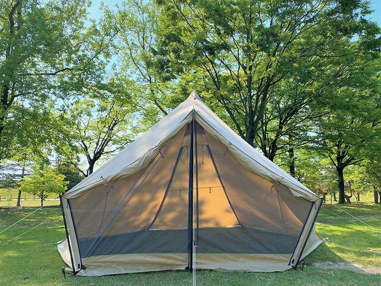 徹底レビュー】サバティカル「モーニンググローリーTC」を他社名品とも