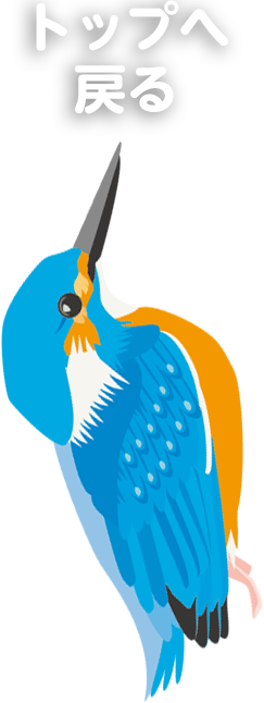 こんにちは 原のり子です。｜日本共産党東京都議会議員 原のり子公式サイト