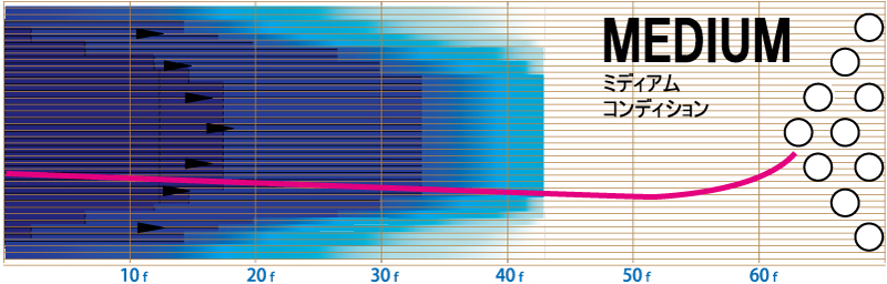 ビンテージ・ジェム - ハイスポーツ社 ：信頼のボウリング用品販売