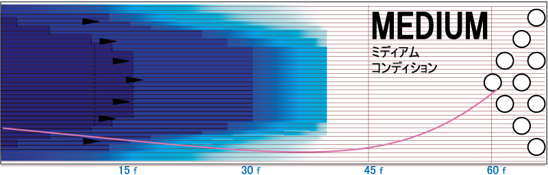 RUBICON UC3 - ハイスポーツ社 ：信頼のボウリング用品販売