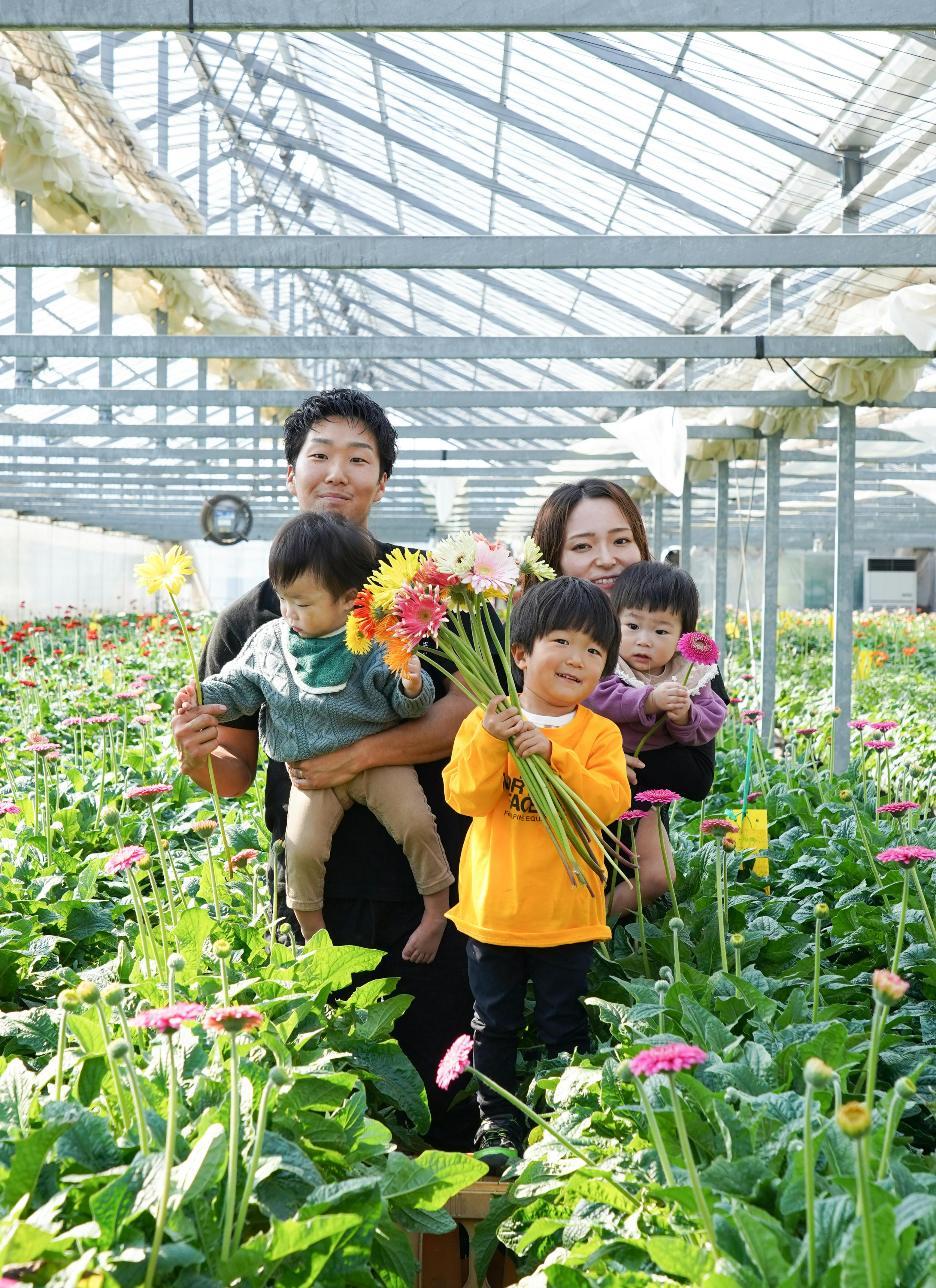 産地直送 ガーベラ ミックス 15本束／静岡 松下園芸からお届け | 花束