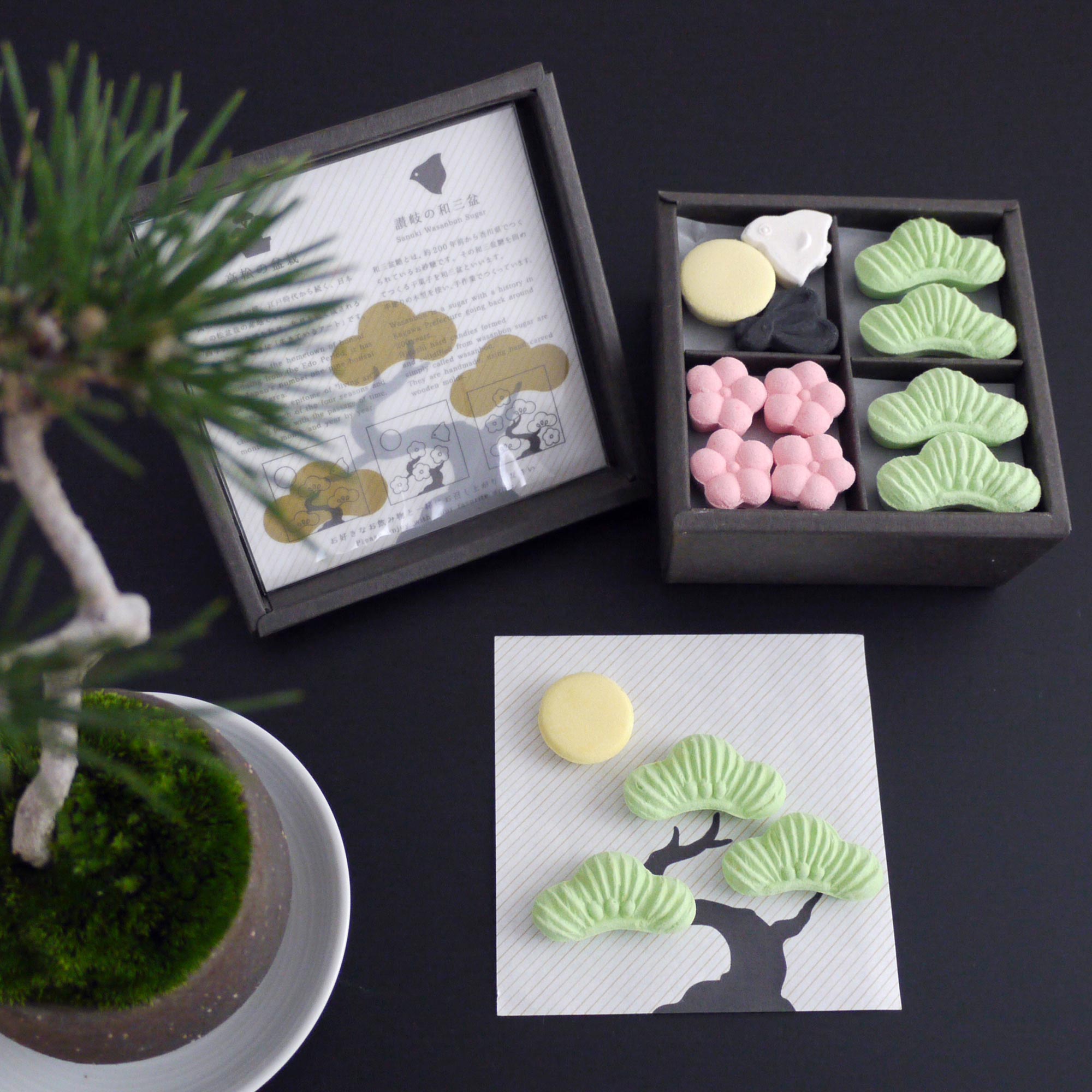 箱盆 仕立てる和三盆（高松盆栽と和三盆） – HIYORI WASANBON 日和制作