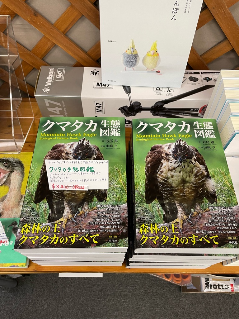クマタカの生態をまとめた本「クマタカ生態図鑑」入荷しました！ | コ
