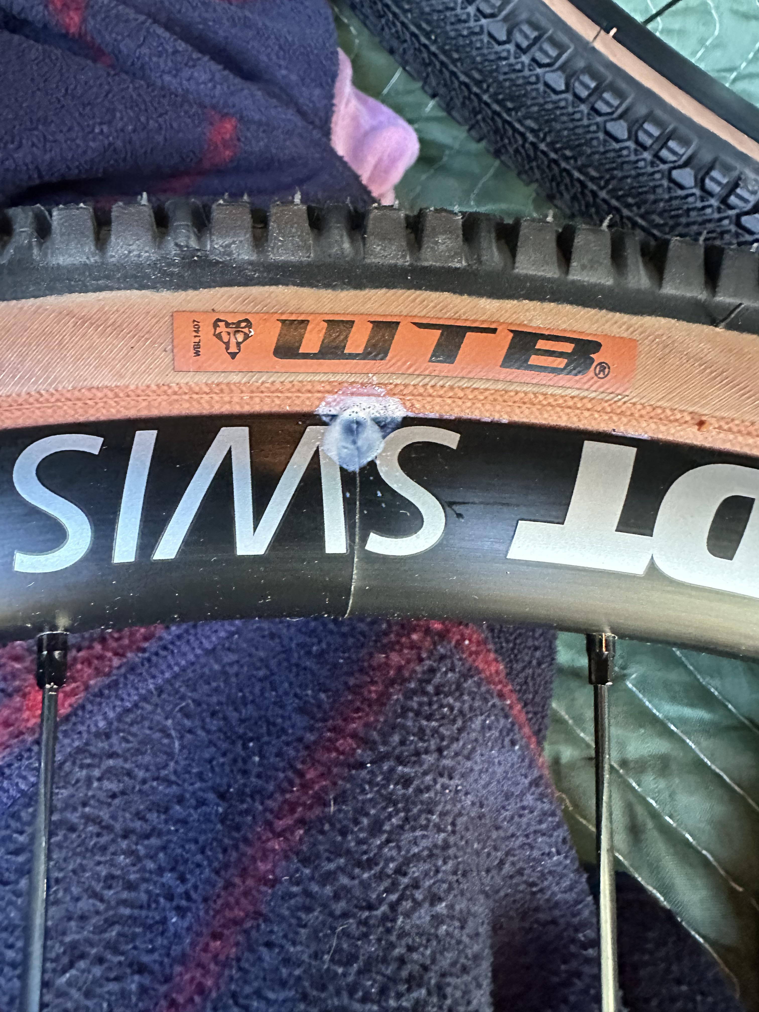 さっき、REIでDT Swiss G1800をチューブレスにしたんだ。今日の午前中