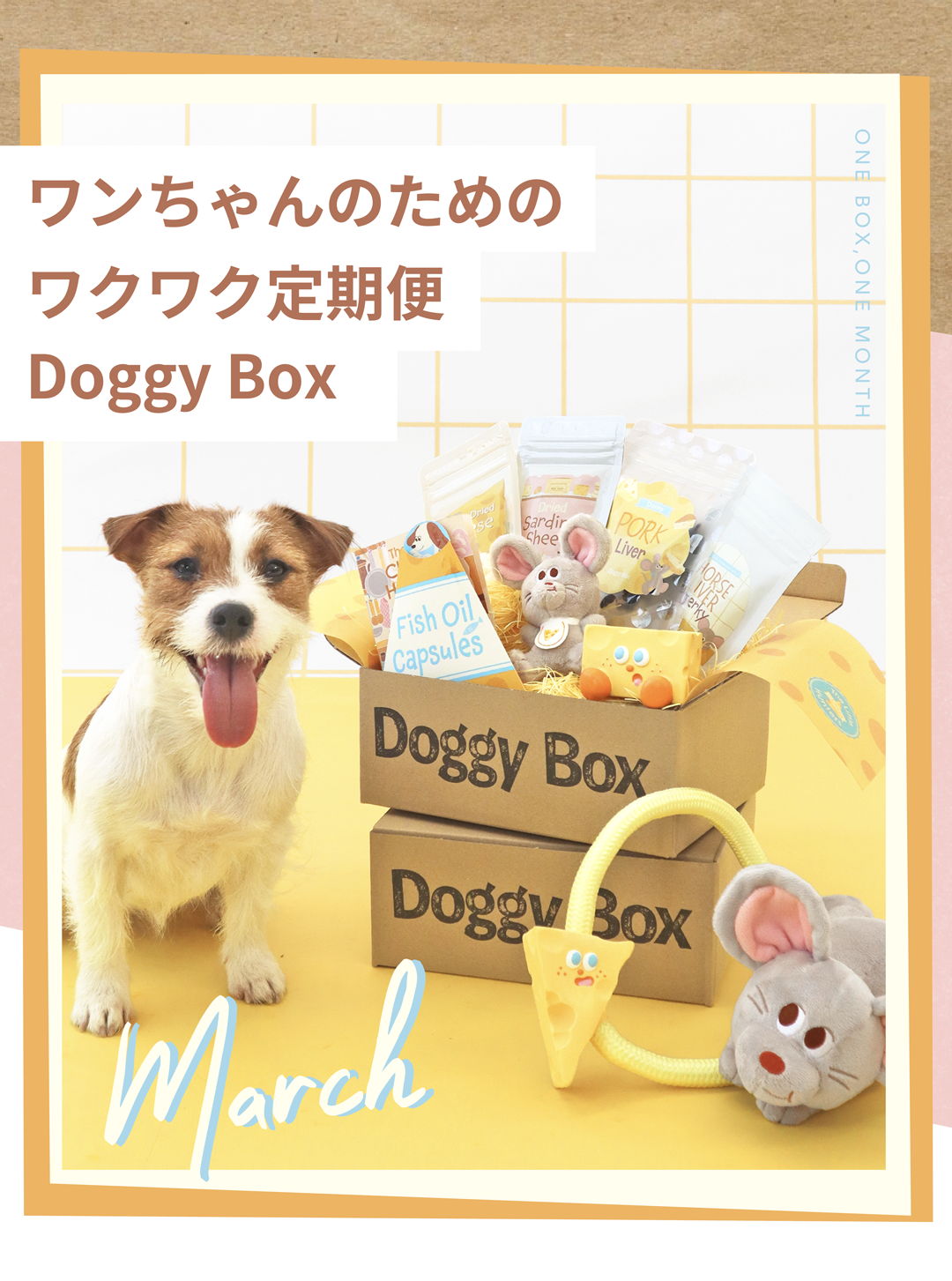 Doggy Box | ワンちゃんのためのワクワク定期便