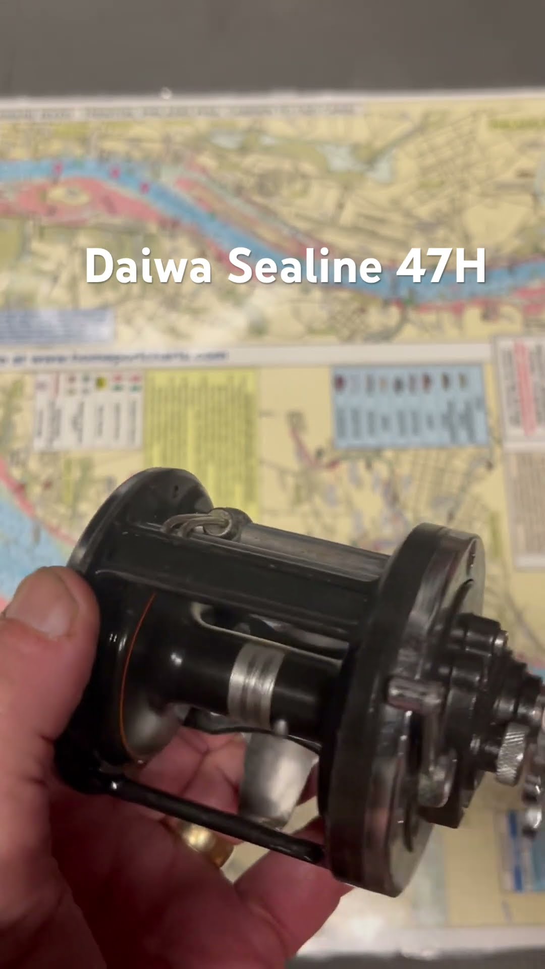 Daiwa Sealine 47H fishing reel for the day #fish - YouTube