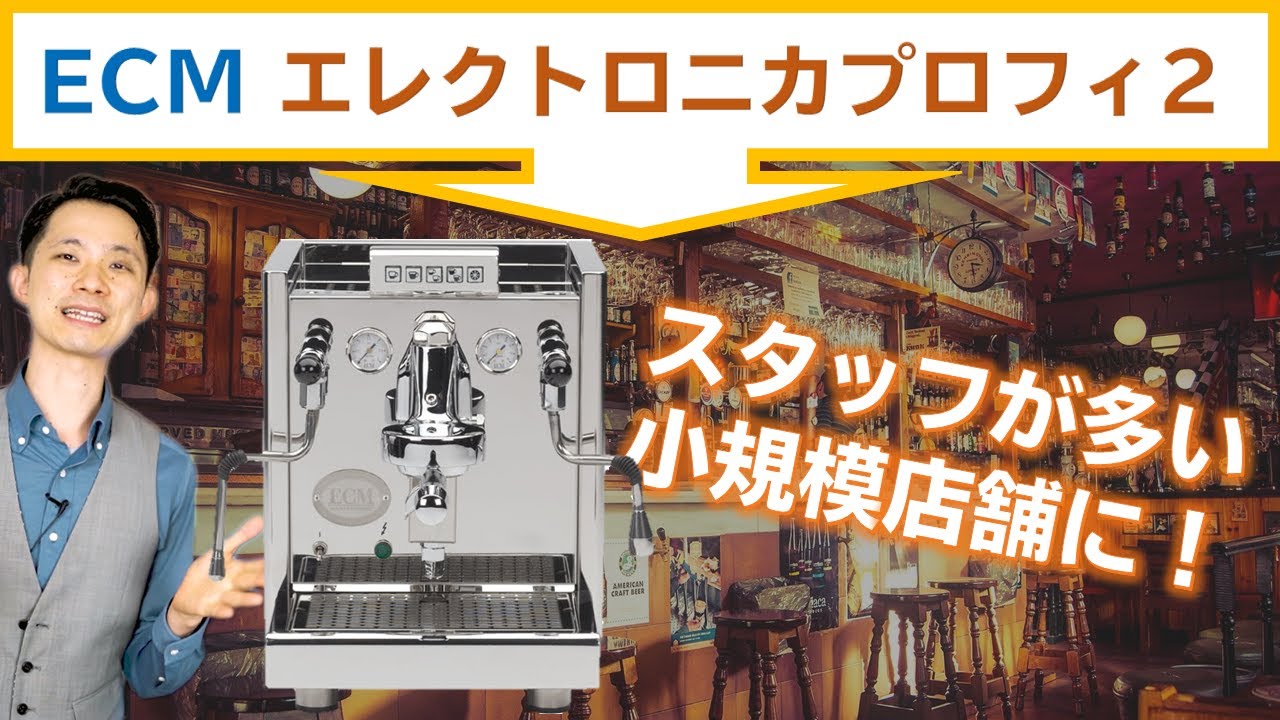 Daiichi F&L / ECM/Elektronika II Profi(エレクトロニカ2 プロフィ