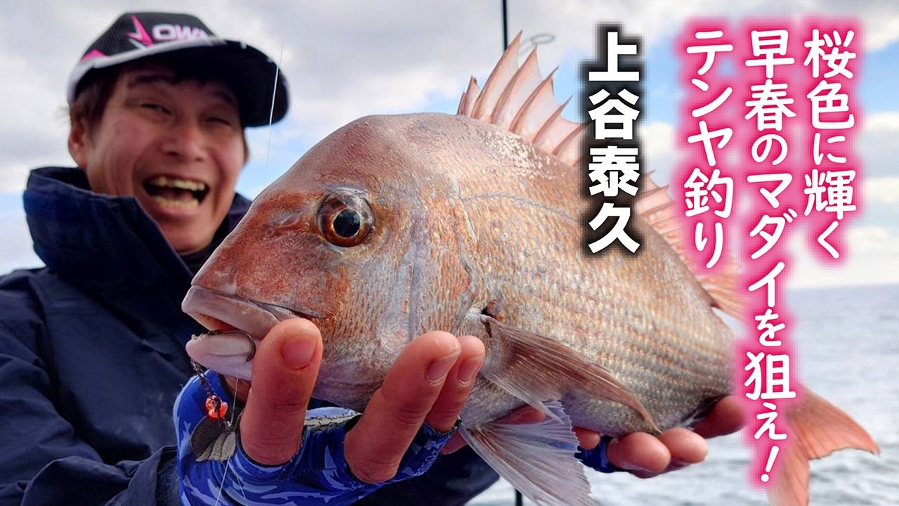 Aim for the cherry blossom-colored red sea bream of early spring