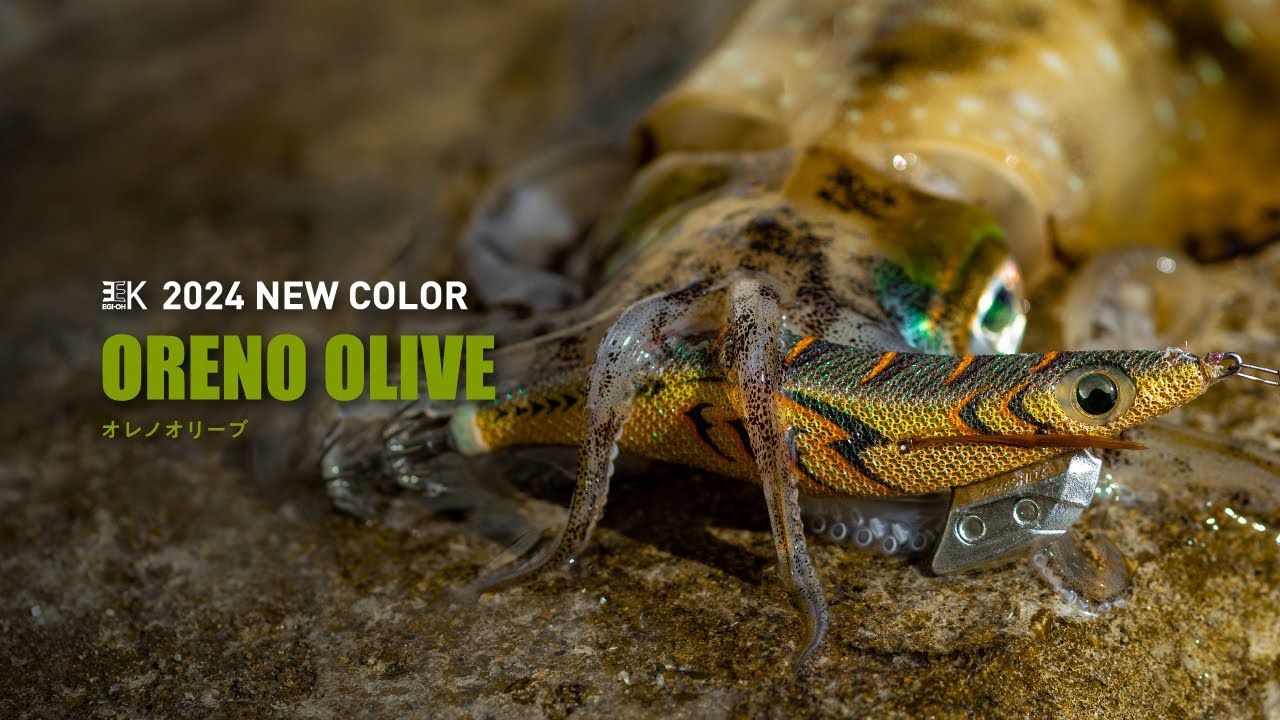 2024年春 エギ王K新色 第三弾 ～EGI-OH K New Color 2024～】～信頼と