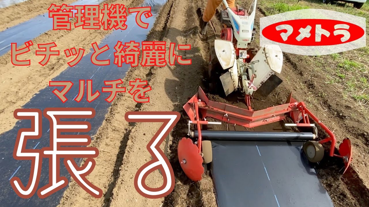 管理機＋マルチアタッチメントで綺麗に楽々マルチ張り👍【自然栽培
