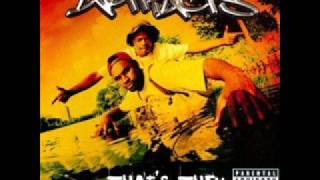 ARTIFACTS ‎/ THAT'S THEM (2LP) - HIP TANK RECORDS