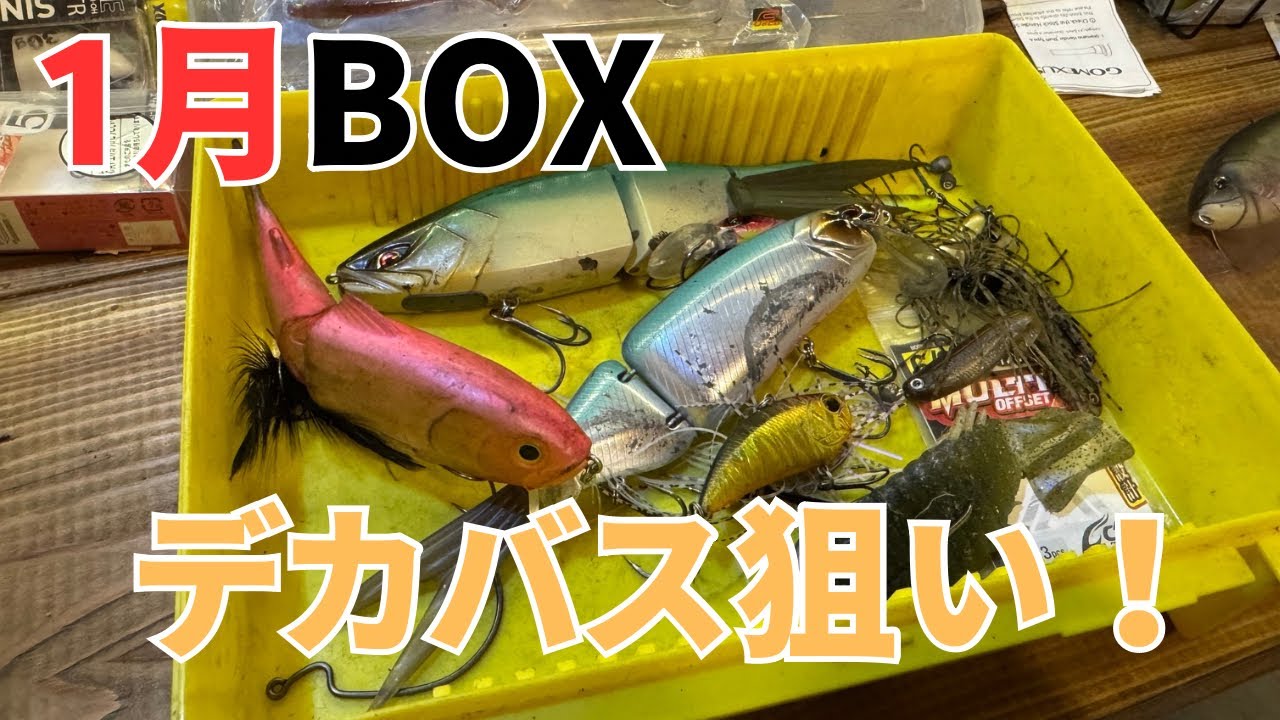 バス釣り】一月のタックルBOX入れ替え！冬に安定して釣る為の狙い方