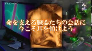 NHKスペシャル 人体 神秘の巨大ネットワーク DVD-BOX 全7枚｜人体