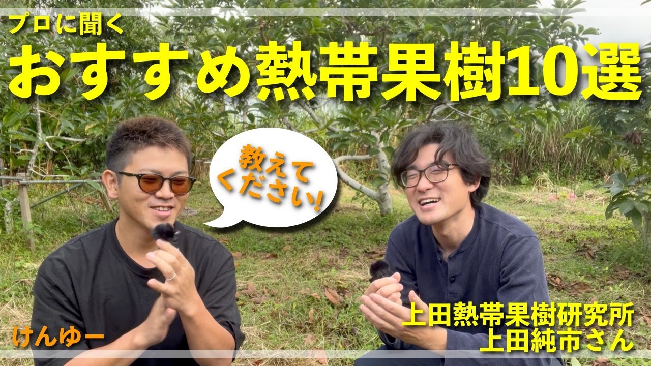 寒いところでも栽培できる初心者おすすめの熱帯果樹「13」選