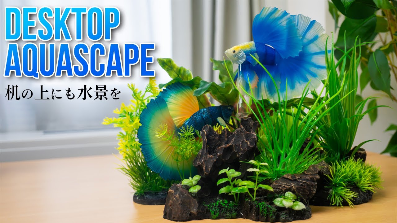 Japan Aquarium, Create a desktop aquascape with realistic